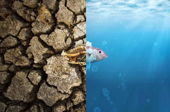 Fb Img 1700052229838