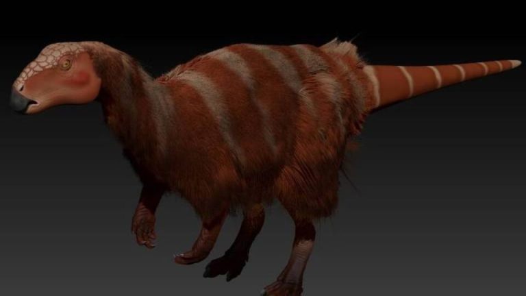 171372940166256f799367d 1713729401 3x2 Md 960x540