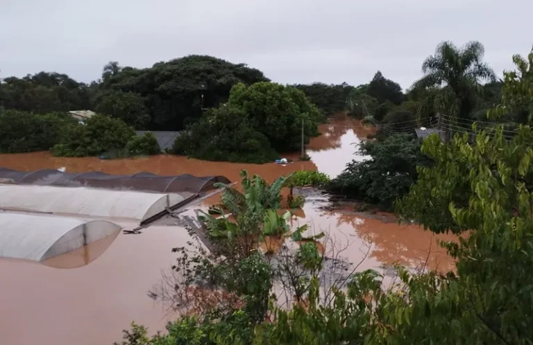 Image Processing20240505 3520254 Ow1act