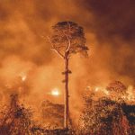 O maior retrocesso ambiental do país em décadas